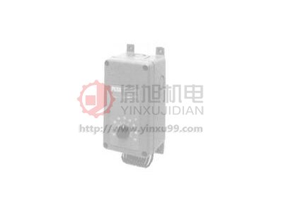 Johnson Controls温控器T19PC-3C PN:TH-02028