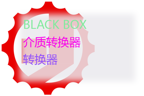 BLACK BOX 介质转换器