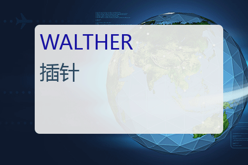 WALTHER 插针