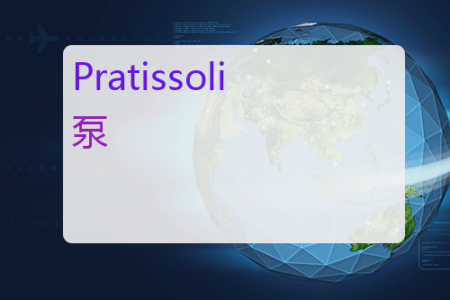 Pratissoli 泵