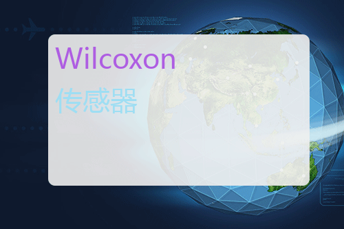 Wilcoxon 传感器