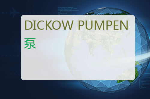 DICKOW PUMPEN 泵