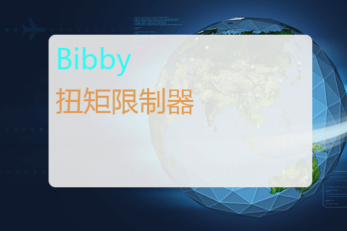 Bibby 扭矩限制器