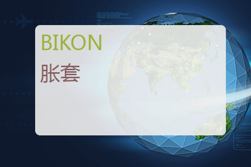 BIKON 胀套