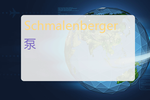 Schmalenberger 泵