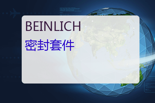 BEINLICH 密封套件