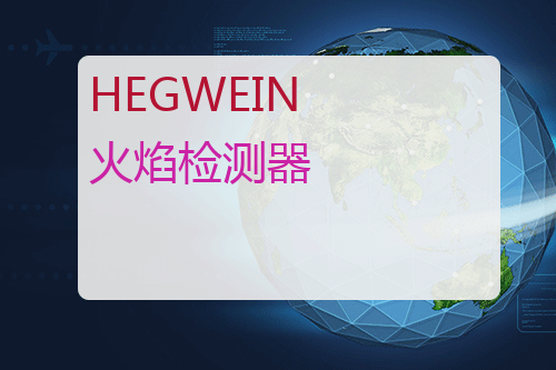 HEGWEIN 火焰检测器